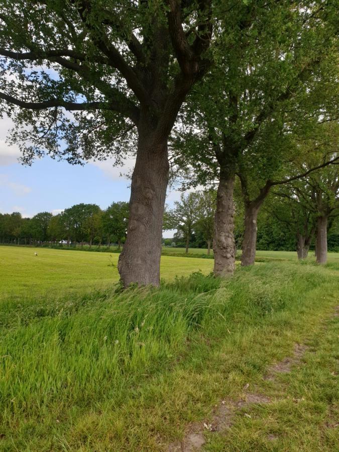 B&B Het Gelders Buitenleven Overasselt Exterior foto